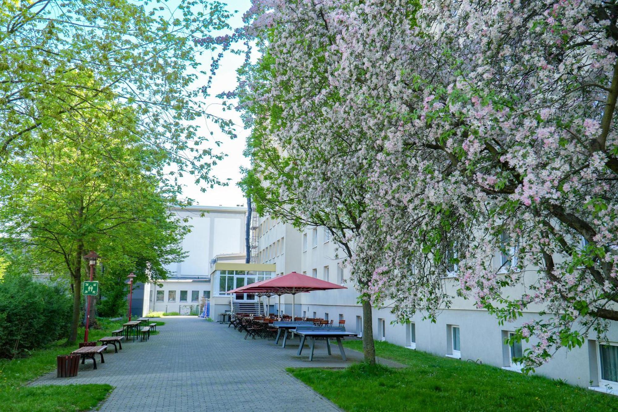 Хостел Djh - Jugendgaestehaus